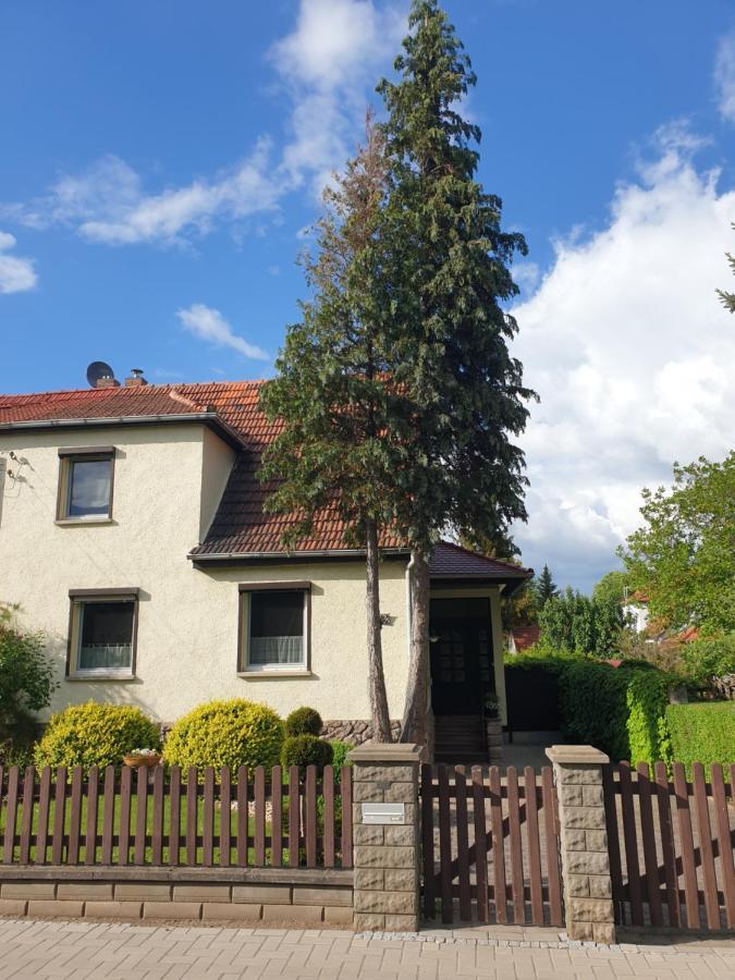 Hahn Appartement Bad Frankenhausen